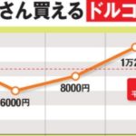 お金に働いてもらう（11/9つみたてNISA）評価額下がる